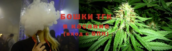 хмурый Елабуга