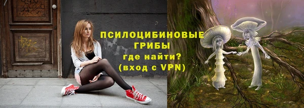 хмурый Елабуга
