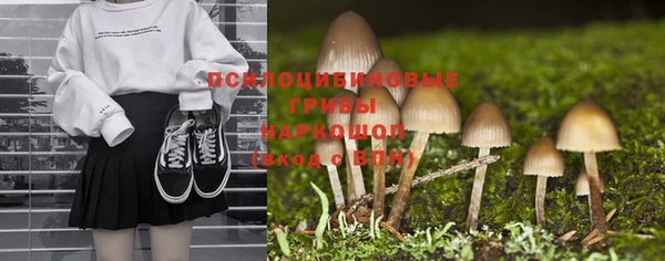 jwh Ельня